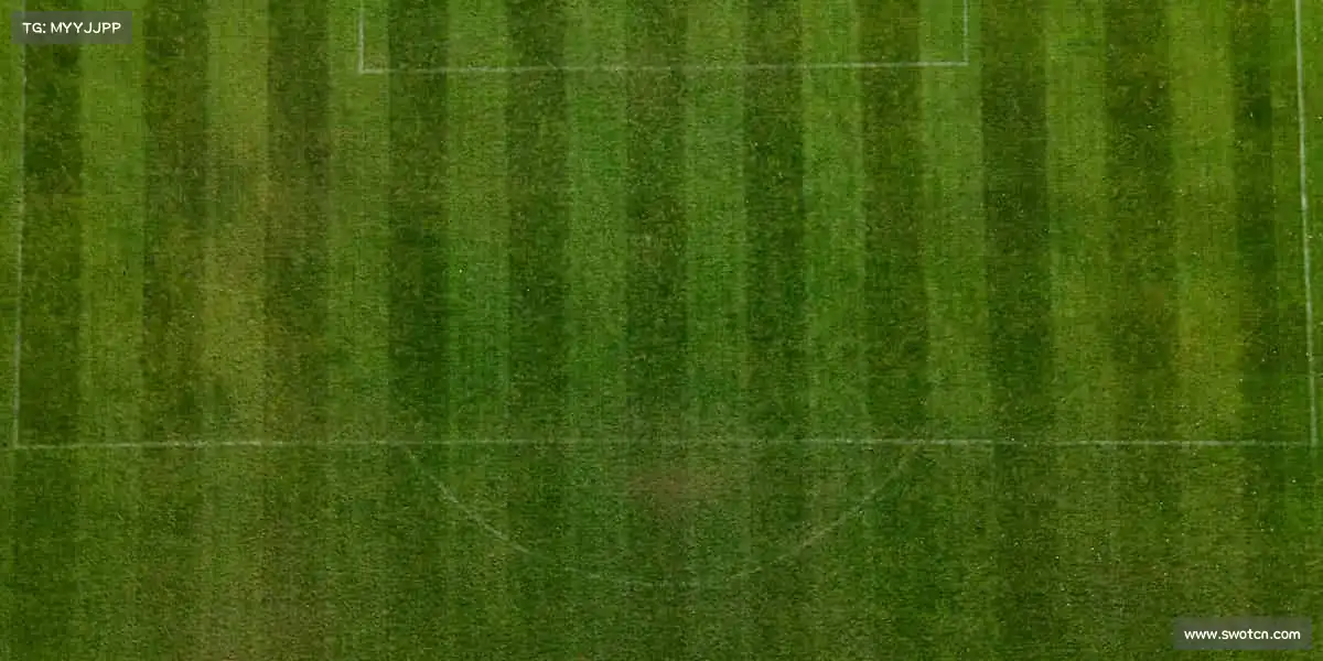 行业领先的理由