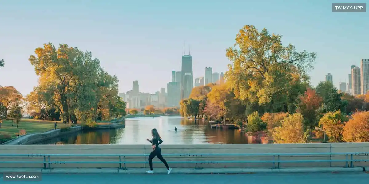 <strong>中欧</strong>无论是单人突破还是团队协作，拼尽全力就是高光时刻！✨